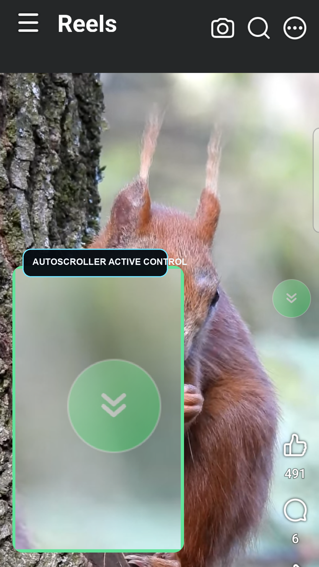 AutoScroller active on Facebook Reels with a magnified floating-control detail